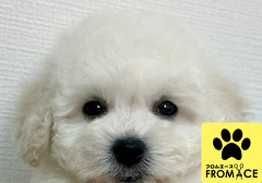 �r�V�����E�t���[�[