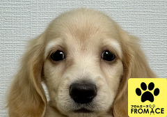 �~�j�`���A�E�_�b�N�X�t���h