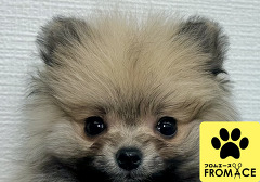 �|�����j�A��