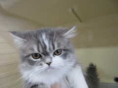 �~�k�G�b�g