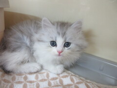 �~�k�G�b�g