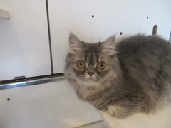 �~�k�G�b�g