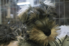 �~�j�`���A�E�V���i�E�U