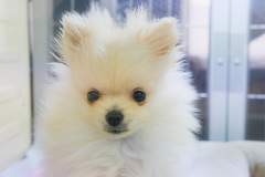 �|�����j�A��