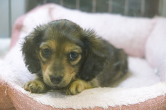 �~�j�`���A�E�_�b�N�X�t���h