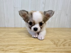 �`����