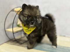 �|�����j�A��