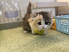 �}���`�J�������O�w�A�[