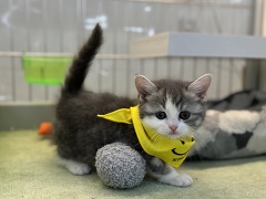 �}���`�J��