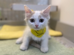 �}���`�J�������O�w�A�[