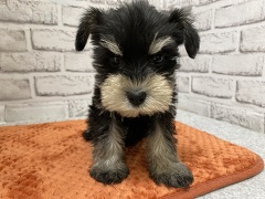 �~�j�`���A�E�V���i�E�U