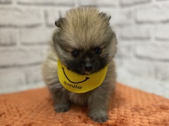 �|�����j�A��