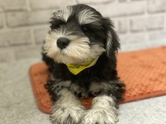 �~�j�`���A�E�V���i�E�U