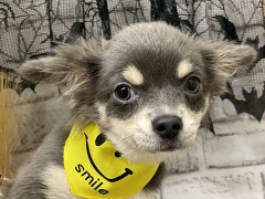 �`����