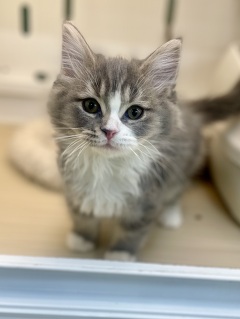 �T�C�x���A��