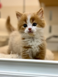 �}���`�J�������O�w�A�[(����)