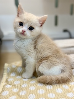 �}���`�J��(����)