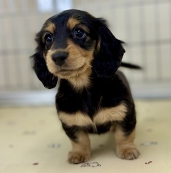 �~�j�`���A�E�_�b�N�X�t���h