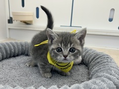 �}���`�J��(�Z��)