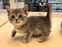 �}���`�J��(�Z��)