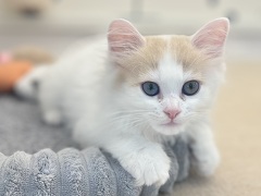 �}���`�J�������O�w�A�[
