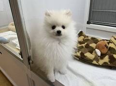 �|�����j�A��