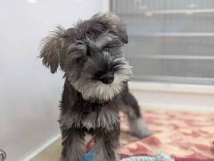 �~�j�`���A�E�V���i�E�U