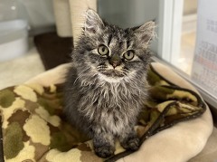 �Z���J�[�N���b�N�X�����O�w�A