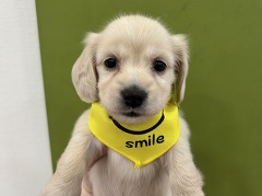 �~�j�`���A�E�_�b�N�X�t���h