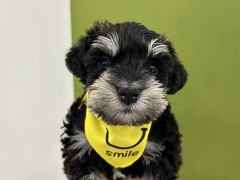 �~�j�`���A�E�V���i�E�U