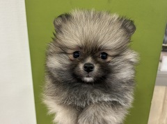 �|�����j�A��