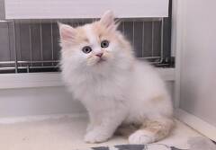 �}���`�J�������O�w�A�[(����)