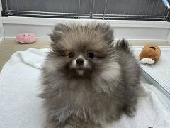 �|�����j�A��