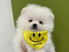 �|�����j�A��