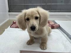 �~�j�`���A�E�_�b�N�X�t���h