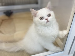 ���K�}�t�B��