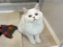 ���K�}�t�B��