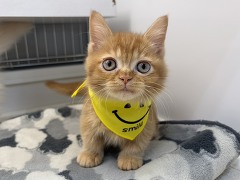 �}���`�J��