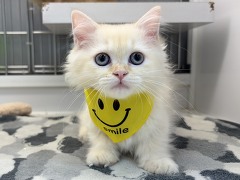 �}���`�J��