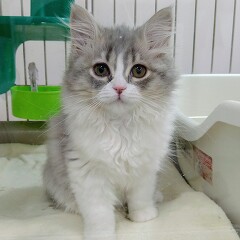 �~�k�G�b�g