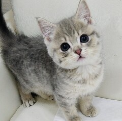 �}���`�J��