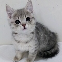 �}���`�J��