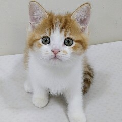 �~�k�G�b�g