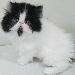 �G�L�]�`�b�N�����O�w�A