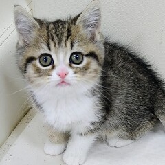 �~�k�G�b�g