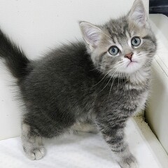 �}���`�J��