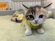 �}���`�J��
