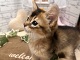 �\�}��