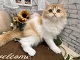 �~�k�G�b�g����