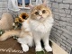 �~�k�G�b�g����